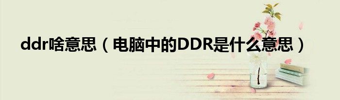 ddr啥意思（电脑中的DDR是什么意思）