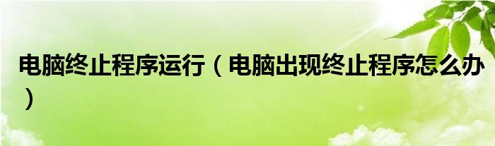 电脑终止程序运行（电脑出现终止程序怎么办）