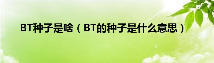 BT种子是啥（BT的种子是什么意思）