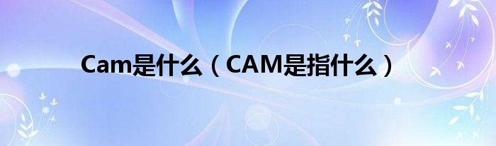 Cam是什么（CAM是指什么）