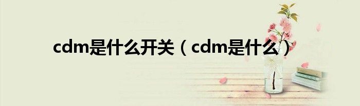 cdm是什么开关（cdm是什么）