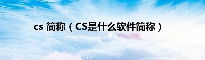 cs 简称（CS是什么软件简称）