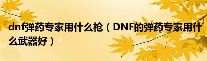 dnf弹药专家用什么枪（DNF的弹药专家用什么武器好）