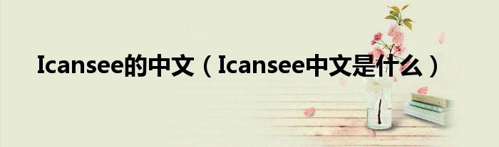 Icansee的中文（Icansee中文是什么）