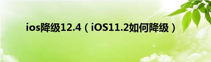 ios降级12.4（iOS11.2如何降级）