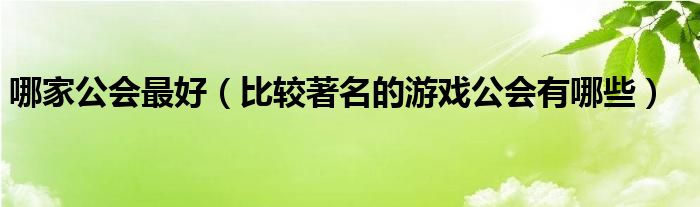 哪家公会最好（比较著名的游戏公会有哪些）