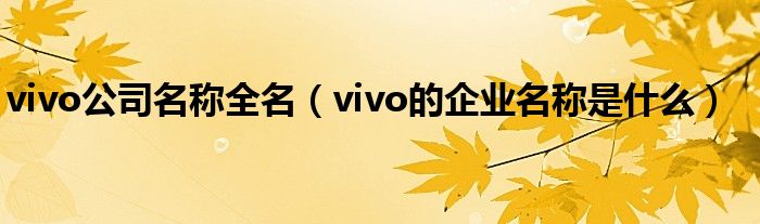 vivo公司名称全名（vivo的企业名称是什么）