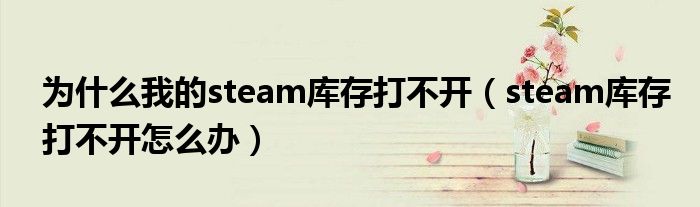 为什么我的steam库存打不开（steam库存打不开怎么办）