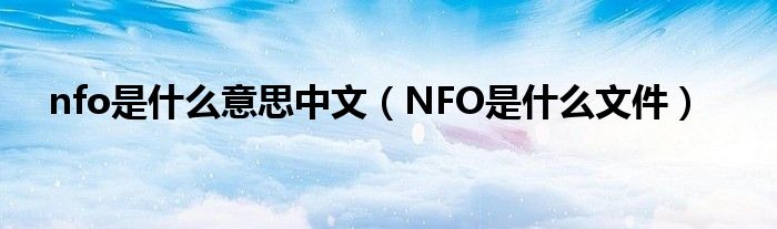 nfo是什么意思中文（NFO是什么文件）