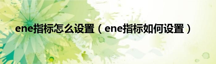 ene指标怎么设置（ene指标如何设置）