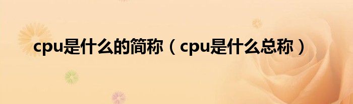 cpu是什么的简称（cpu是什么总称）