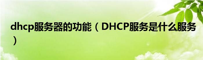 dhcp服务器的功能（DHCP服务是什么服务）