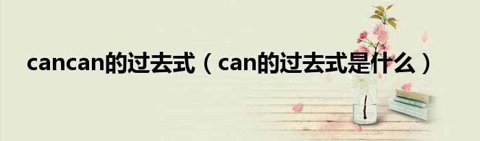 cancan的过去式（can的过去式是什么）