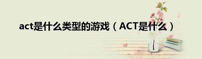 act是什么类型的游戏（ACT是什么）