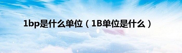 1bp是什么单位（1B单位是什么）