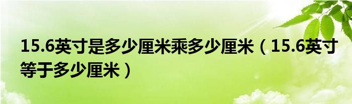 15.6英寸是多少厘米乘多少厘米（15.6英寸等于多少厘米）