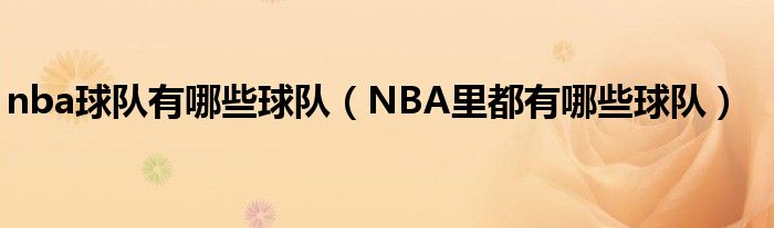 nba球队有哪些球队（NBA里都有哪些球队）