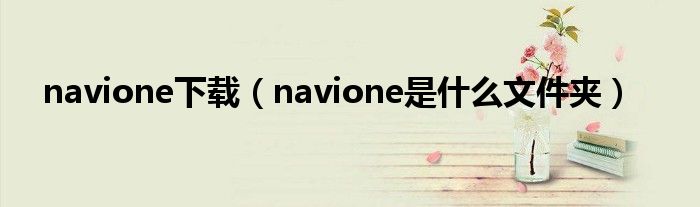 navione下载（navione是什么文件夹）