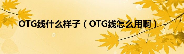 OTG线什么样子（OTG线怎么用啊）