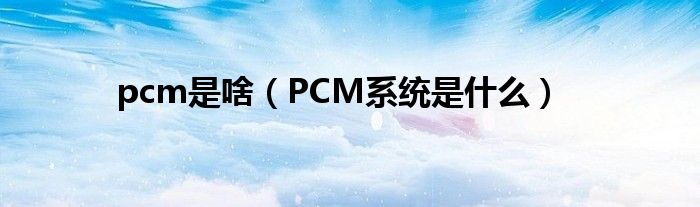 pcm是啥（PCM系统是什么）