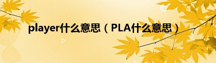 player什么意思（PLA什么意思）