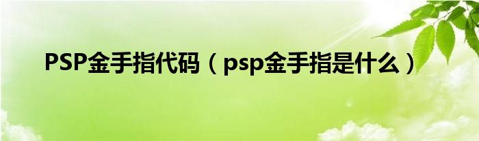 PSP金手指代码（psp金手指是什么）