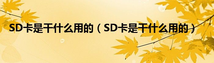 SD卡是干什么用的（SD卡是干什么用的）