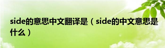 side的意思中文翻译是（side的中文意思是什么）