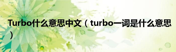 Turbo什么意思中文（turbo一词是什么意思）