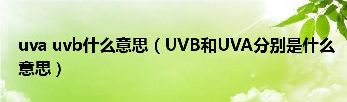 uva uvb什么意思（UVB和UVA分别是什么意思）