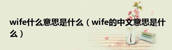 wife什么意思是什么（wife的中文意思是什么）