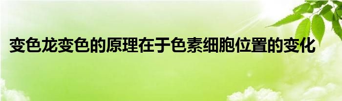 变色龙变色的原理在于色素细胞位置的变化