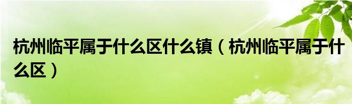 杭州临平属于什么区什么镇（杭州临平属于什么区）