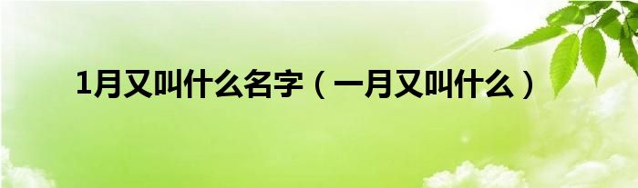 1月又叫什么名字（一月又叫什么）