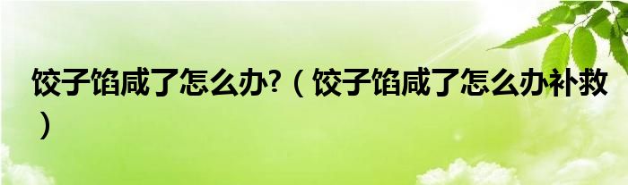 饺子馅咸了怎么办?（饺子馅咸了怎么办补救）