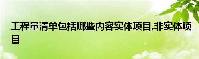 工程量清单包括哪些内容实体项目,非实体项目