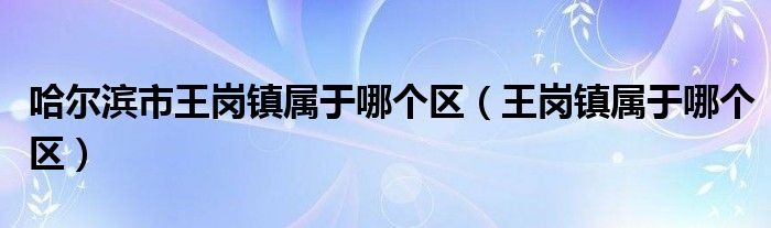 哈尔滨市王岗镇属于哪个区（王岗镇属于哪个区）