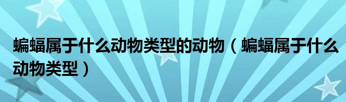 蝙蝠属于什么动物类型的动物（蝙蝠属于什么动物类型）