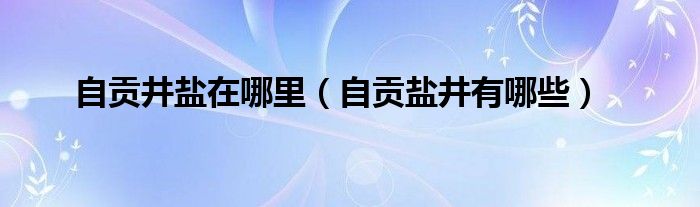 自贡井盐在哪里（自贡盐井有哪些）