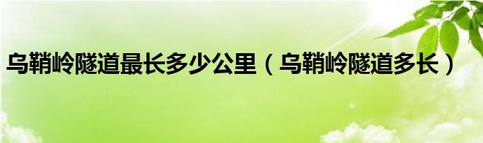 乌鞘岭隧道最长多少公里（乌鞘岭隧道多长）