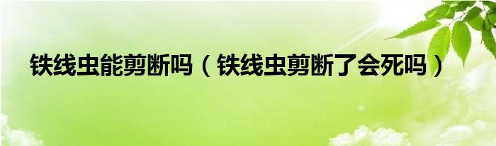 铁线虫能剪断吗（铁线虫剪断了会死吗）