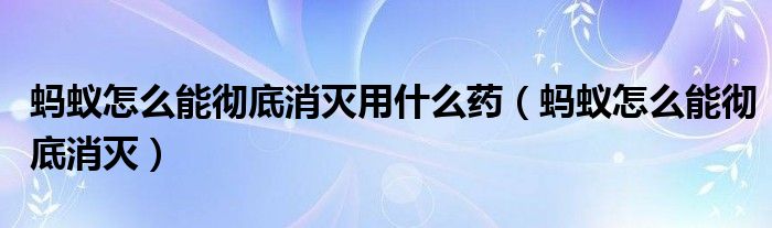 蚂蚁怎么能彻底消灭用什么药（蚂蚁怎么能彻底消灭）