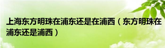 上海东方明珠在浦东还是在浦西（东方明珠在浦东还是浦西）