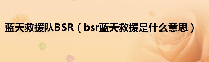 蓝天救援队BSR（bsr蓝天救援是什么意思）