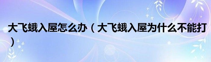 大飞蛾入屋怎么办（大飞蛾入屋为什么不能打）