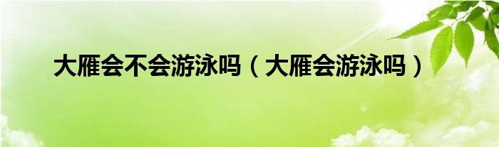 大雁会不会游泳吗（大雁会游泳吗）