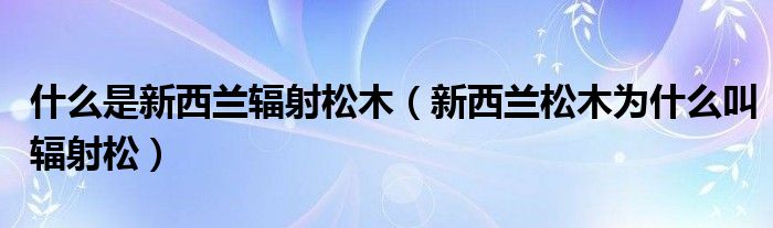 什么是新西兰辐射松木（新西兰松木为什么叫辐射松）