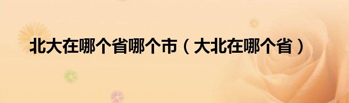 北大在哪个省哪个市（大北在哪个省）