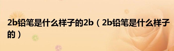 2b铅笔是什么样子的2b（2b铅笔是什么样子的）