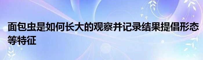 面包虫是如何长大的观察并记录结果提倡形态等特征